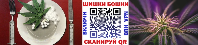 купить наркотики цена  Североморск  МЕГА ССЫЛКА  Печенье с ТГК конопля 