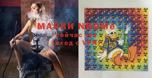 амф Краснослободск