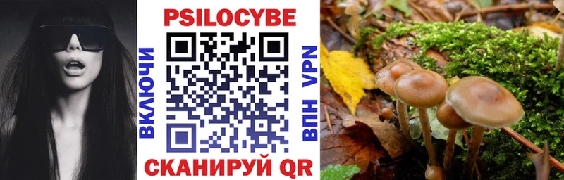 shop телеграм  гидра tor  Североморск  Галлюциногенные грибы прущие грибы 