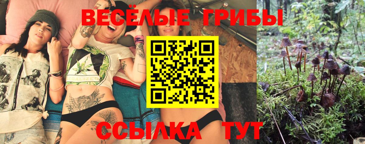 Псилоцибиновые грибы Magic Shrooms Североморск
