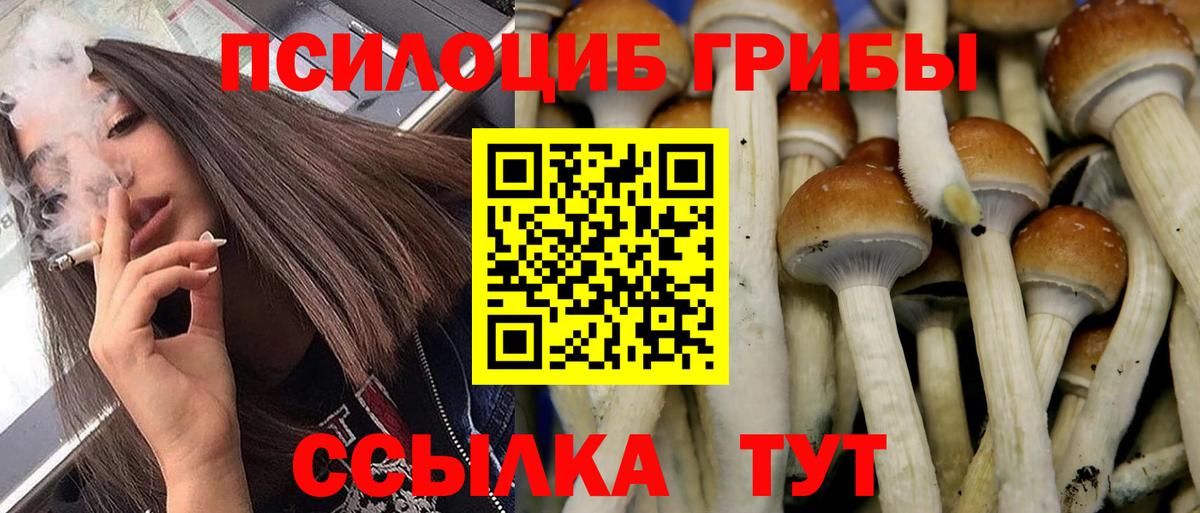 Псилоцибиновые грибы мухоморы  Вход с VPN  Североморск  Галлюциногенные грибы Magic Shrooms 